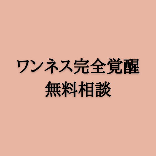 スタッフ